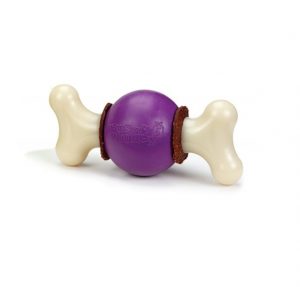 Busy Buddy Bouncy Bone
