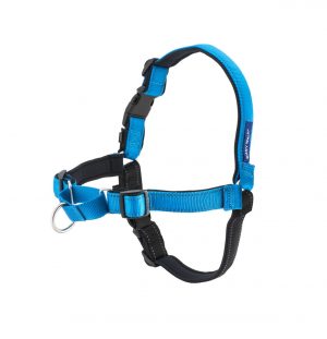 Easy Walk DELUXE
