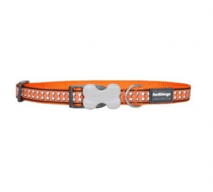 Red Dingo Reflective Bones Orange