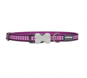 Red Dingo Reflective Bones Purple