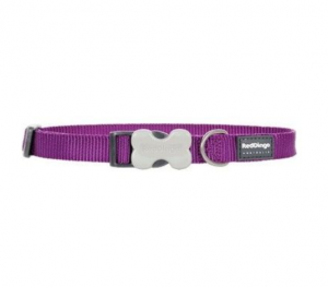 Red Dingo Plain Classic Purple