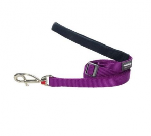Red Dingo Plain Classic Purple