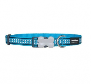 Red Dingo Reflective Bones Turquoise