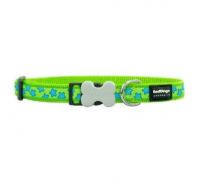 Red Dingo Design Stars Turquoise on Lime Green