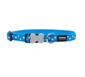 Red Dingo Design White Stars on Turquoise