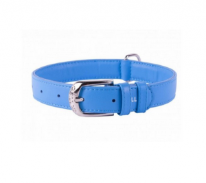 Collar Glamour kožený obojek Turquois