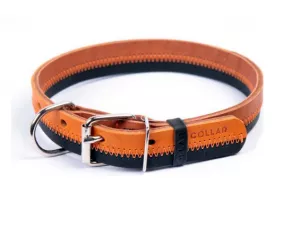 Collar ZigZag kožený obojek