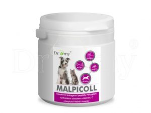 Dromy MALPICOLL