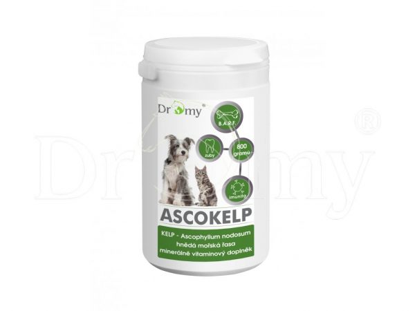 Dromy ASCOKELP