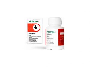 Folio Artenax 60 tbl