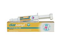 Diarsanyl pasta 10 ml na podporu trávení