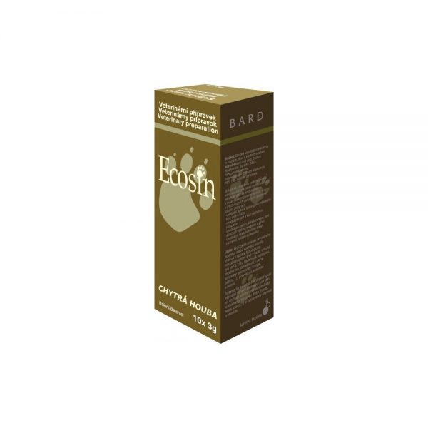 Ecosin chytrá houba tbl. 10x3g