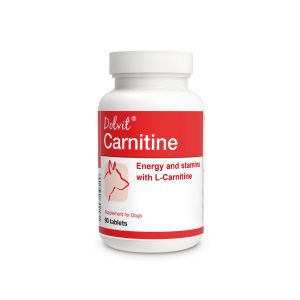 Dolvit Carnitine - 90 tbl.