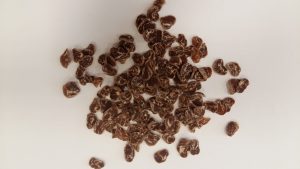 SALAČ - MLSKY - hovězí s treskou 100g