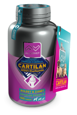AV CARTILAN MSM+Kurkumin 100 tbl