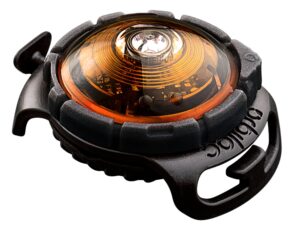 ORBILOC Dog Dual LED světlo na obojek - oranžové