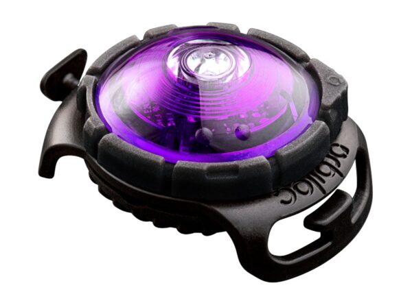 ORBILOC Dog Dual LED světlo na obojek - fialové