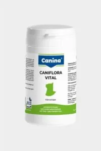 Caniflora Vital pro kočky (probiotikum) 60g